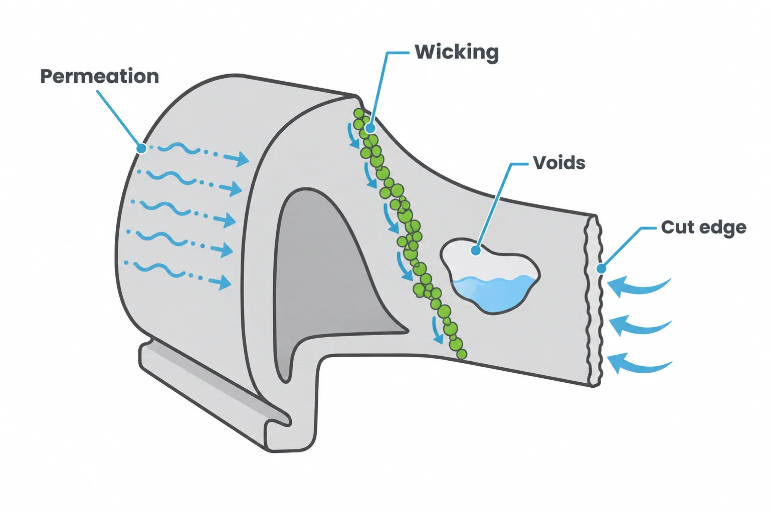 Cutaway diagram of a molded rubber part showing four water entry routes: permeation, wicking along filler particles, voids, and cut edges